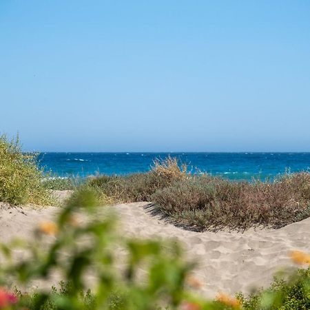 Queen Marbella - Romana Playa Exterior photo